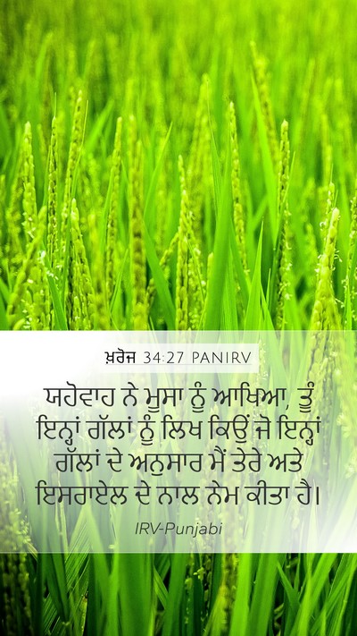 ਖ਼ਰੋਜ 34:27 PANIRV Bible Verse Image
