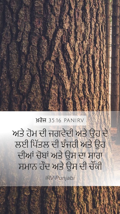 ਖ਼ਰੋਜ 35:16 PANIRV Bible Verse Image