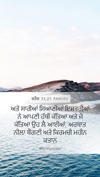 ਖ਼ਰੋਜ 35:25 PANIRV Bible Verse Image