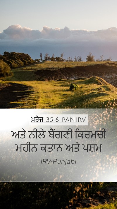 ਖ਼ਰੋਜ 35:6 PANIRV Mobile Phone Wallpaper - ਅਤੇ ਨੀਲੇ ਬੈਂਗਣੀ - Mobile Bible Verse Wallpaper