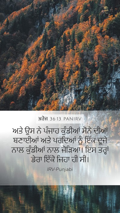 ਖ਼ਰੋਜ 36:13 PANIRV Bible Verse Image