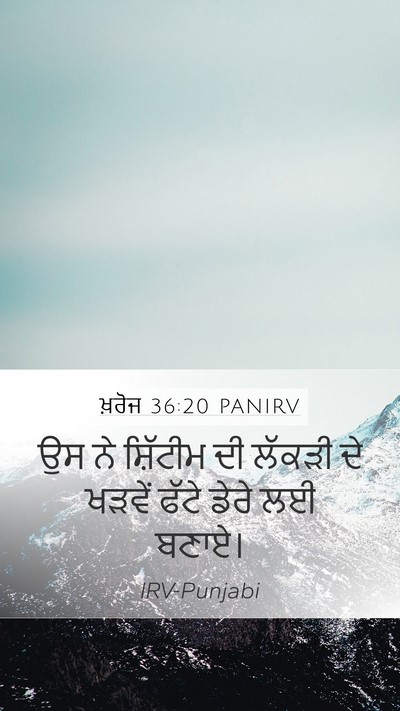 ਖ਼ਰੋਜ 36:20 PANIRV Bible Verse Image