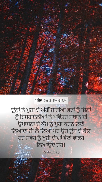 ਖ਼ਰੋਜ 36:3 PANIRV Bible Verse Image