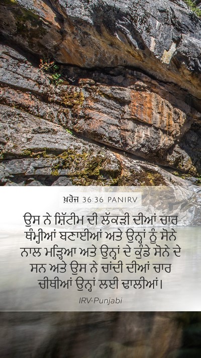 ਖ਼ਰੋਜ 36:36 PANIRV Bible Verse Image