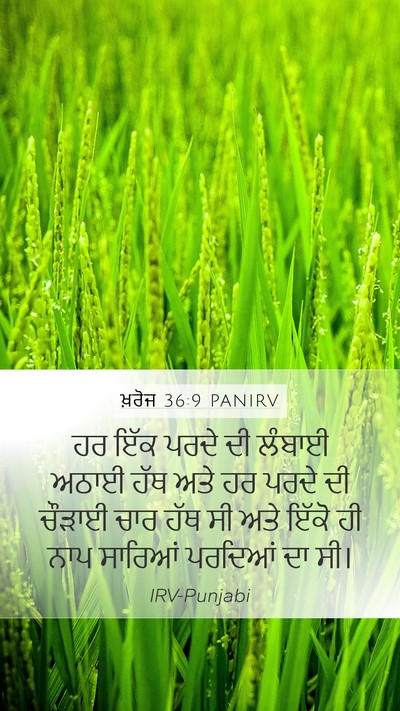 ਖ਼ਰੋਜ 36:9 PANIRV Mobile Phone Wallpaper - ਹਰ ਇੱਕ ਪਰਦੇ ਦੀ - Mobile Bible Verse Wallpaper