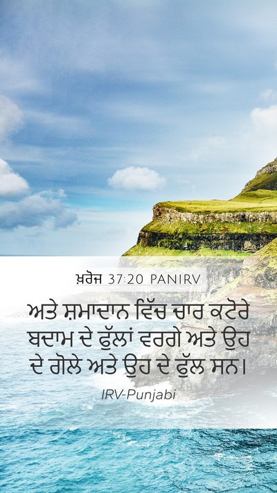 ਖ਼ਰੋਜ 37:20 PANIRV Bible Verse Image