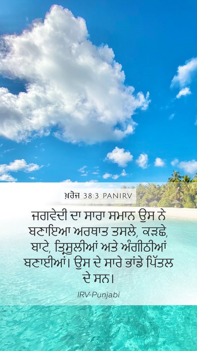 ਖ਼ਰੋਜ 38:3 PANIRV Bible Verse Image
