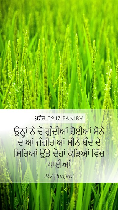 ਖ਼ਰੋਜ 39:17 PANIRV Mobile Phone Wallpaper - ਉਨ੍ਹਾਂ ਨੇ ਦੋ - Mobile Bible Verse Wallpaper