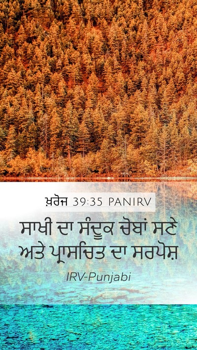 ਖ਼ਰੋਜ 39:35 PANIRV Mobile Phone Wallpaper - ਸਾਖੀ ਦਾ ਸੰਦੂਕ - Mobile Bible Verse Wallpaper