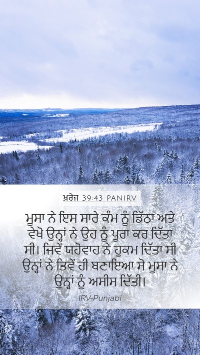 ਖ਼ਰੋਜ 39:43 PANIRV Bible Verse Image