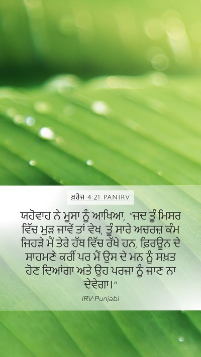 ਖ਼ਰੋਜ 4:21 PANIRV Bible Verse Image