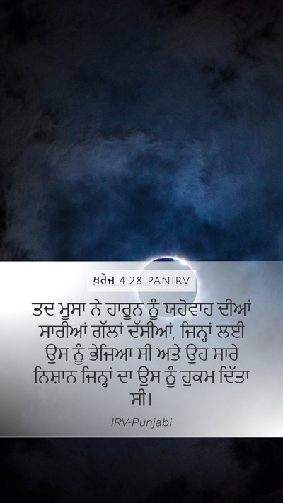 ਖ਼ਰੋਜ 4:28 PANIRV Mobile Phone Wallpaper - ਤਦ ਮੂਸਾ ਨੇ ਹਾਰੂਨ - Mobile Bible Verse Wallpaper