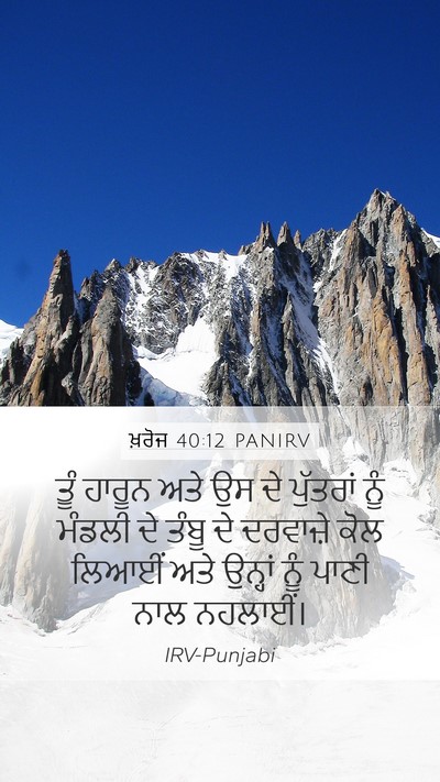 ਖ਼ਰੋਜ 40:12 PANIRV Bible Verse Image