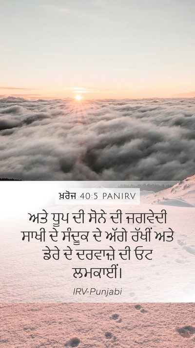 ਖ਼ਰੋਜ 40:5 PANIRV Bible Verse Image