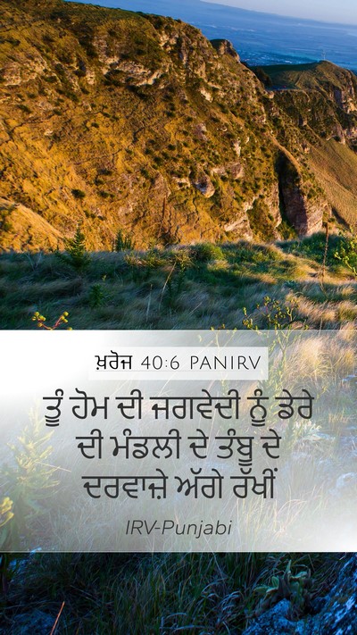 ਖ਼ਰੋਜ 40:6 PANIRV Bible Verse Image