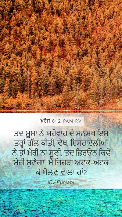 ਖ਼ਰੋਜ 6:12 PANIRV Bible Verse Image