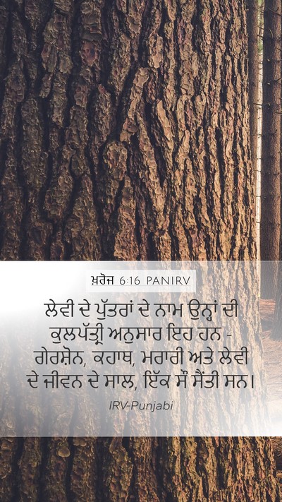 ਖ਼ਰੋਜ 6:16 PANIRV Bible Verse Image