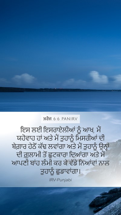 ਖ਼ਰੋਜ 6:6 PANIRV Bible Verse Image
