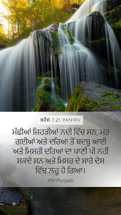 ਖ਼ਰੋਜ 7:21 PANIRV Bible Verse Image