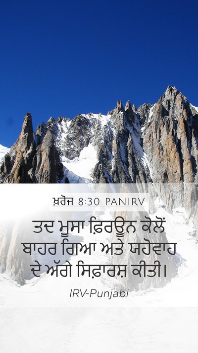 ਖ਼ਰੋਜ 8:30 PANIRV Bible Verse Image