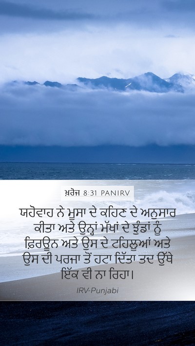 ਖ਼ਰੋਜ 8:31 PANIRV Mobile Phone Wallpaper - ਯਹੋਵਾਹ ਨੇ ਮੂਸਾ ਦੇ - Mobile Bible Verse Wallpaper