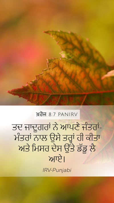 ਖ਼ਰੋਜ 8:7 PANIRV Mobile Phone Wallpaper - ਤਦ ਜਾਦੂਗਰਾਂ ਨੇ - Mobile Bible Verse Wallpaper