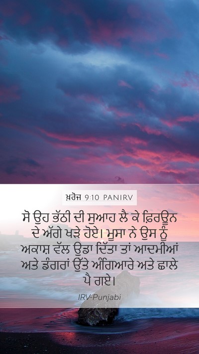 ਖ਼ਰੋਜ 9:10 PANIRV Bible Verse Image