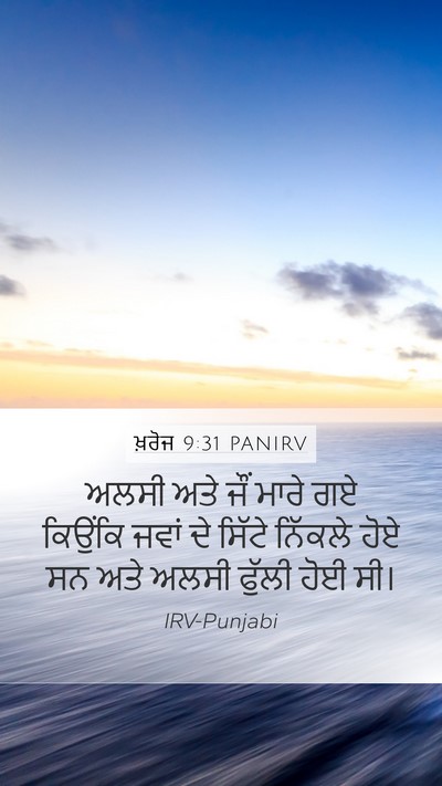 ਖ਼ਰੋਜ 9:31 PANIRV Bible Verse Image
