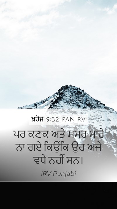 ਖ਼ਰੋਜ 9:32 PANIRV Bible Verse Image
