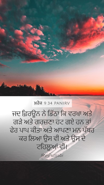 ਖ਼ਰੋਜ 9:34 PANIRV Bible Verse Image