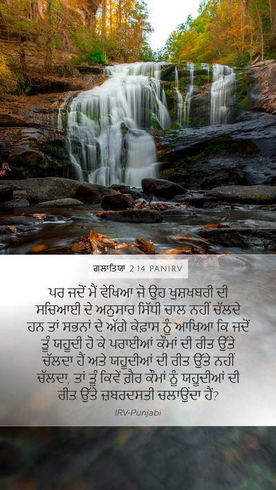 ਗਲਾਤਿਯਾ 2:14 PANIRV Bible Verse Image