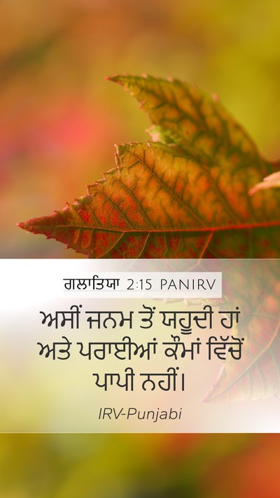 ਗਲਾਤਿਯਾ 2:15 PANIRV Bible Verse Image