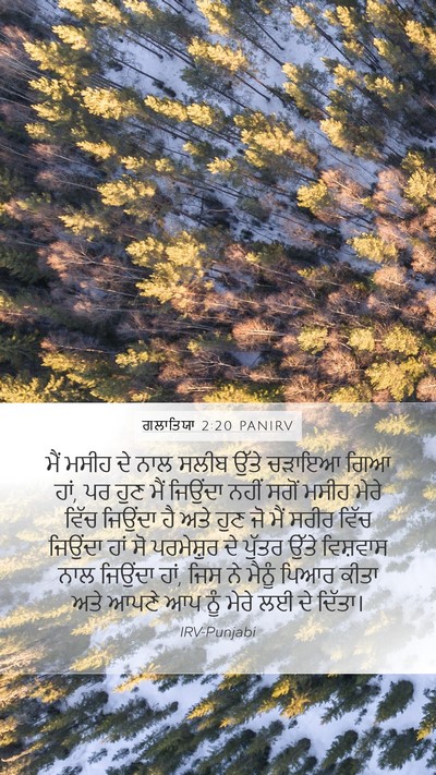 ਗਲਾਤਿਯਾ 2:20 PANIRV Bible Verse Image