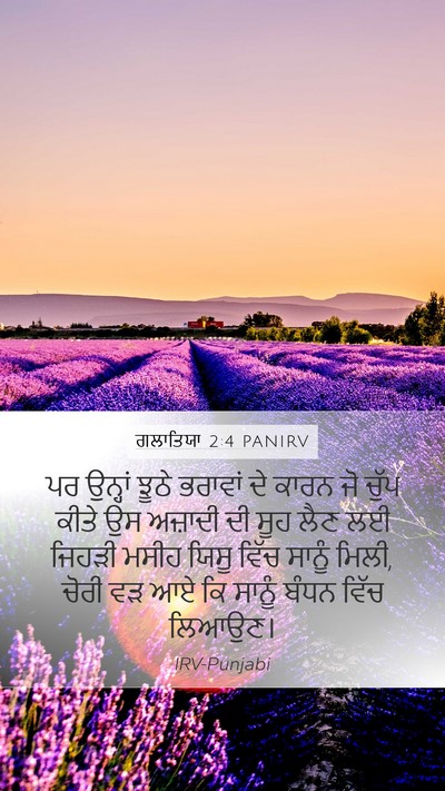 ਗਲਾਤਿਯਾ 2:4 PANIRV Bible Verse Image