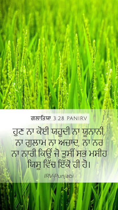 ਗਲਾਤਿਯਾ 3:28 PANIRV Bible Verse Image
