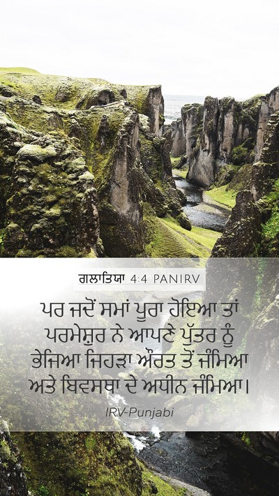ਗਲਾਤਿਯਾ 4:4 PANIRV Bible Verse Image