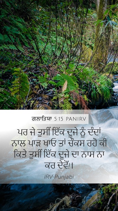 ਗਲਾਤਿਯਾ 5:15 PANIRV Bible Verse Image