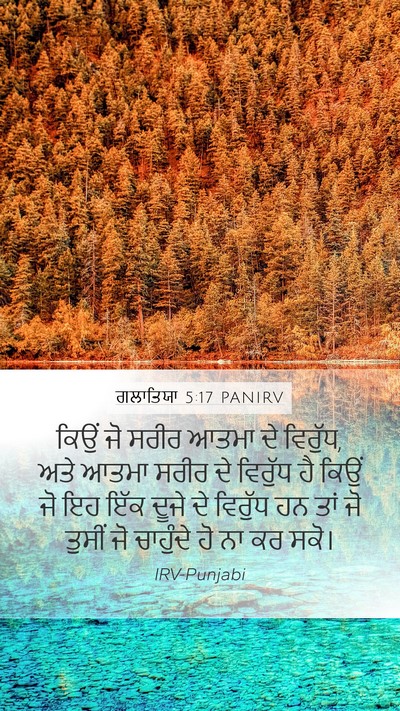 ਗਲਾਤਿਯਾ 5:17 PANIRV Bible Verse Image