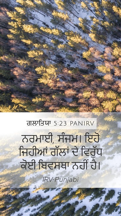 ਗਲਾਤਿਯਾ 5:23 PANIRV Bible Verse Image