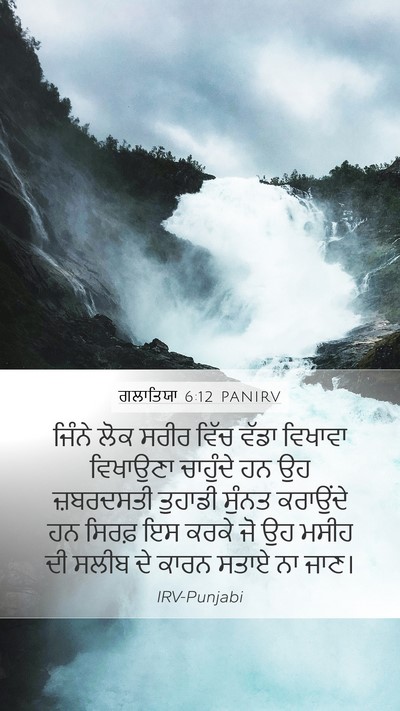 ਗਲਾਤਿਯਾ 6:12 PANIRV Bible Verse Image