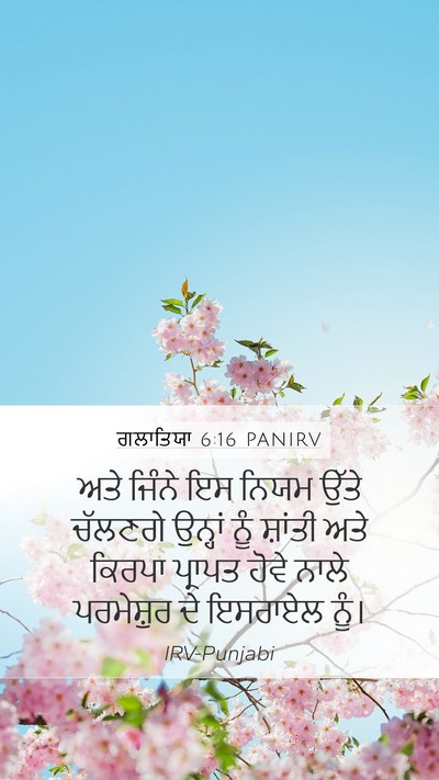ਗਲਾਤਿਯਾ 6:16 PANIRV Bible Verse Image