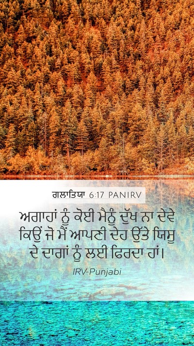 ਗਲਾਤਿਯਾ 6:17 PANIRV Bible Verse Image
