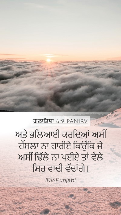 ਗਲਾਤਿਯਾ 6:9 PANIRV Bible Verse Image