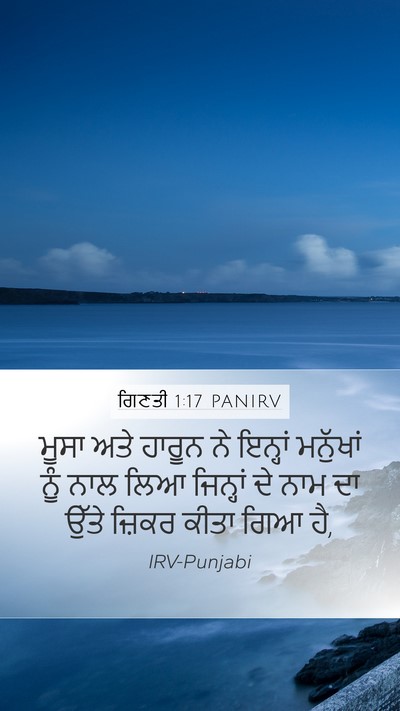 ਗਿਣਤੀ 1:17 PANIRV Mobile Phone Wallpaper - ਮੂਸਾ ਅਤੇ ਹਾਰੂਨ ਨੇ - Mobile Bible Verse Wallpaper