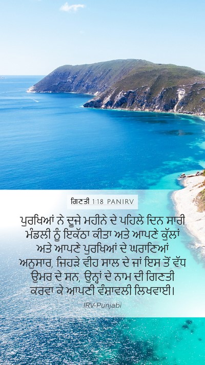 ਗਿਣਤੀ 1:18 PANIRV Bible Verse Image