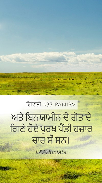 ਗਿਣਤੀ 1:37 PANIRV Bible Verse Image