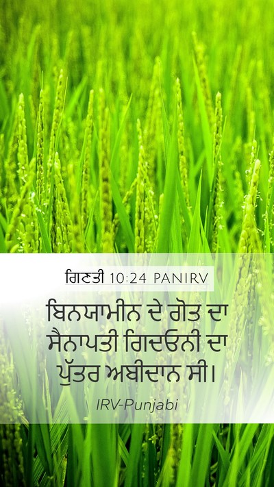 ਗਿਣਤੀ 10:24 PANIRV Bible Verse Image