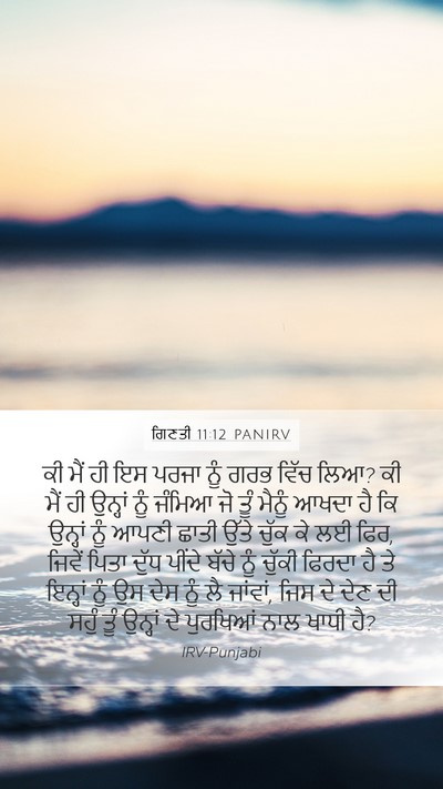ਗਿਣਤੀ 11:12 PANIRV Mobile Phone Wallpaper - ਕੀ ਮੈਂ ਹੀ ਇਸ ਪਰਜਾ - Mobile Bible Verse Wallpaper