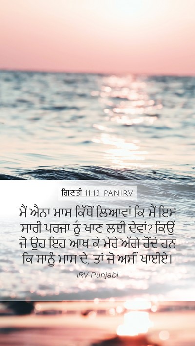 ਗਿਣਤੀ 11:13 PANIRV Mobile Phone Wallpaper - ਮੈਂ ਐਨਾ ਮਾਸ ਕਿੱਥੋਂ - Mobile Bible Verse Wallpaper