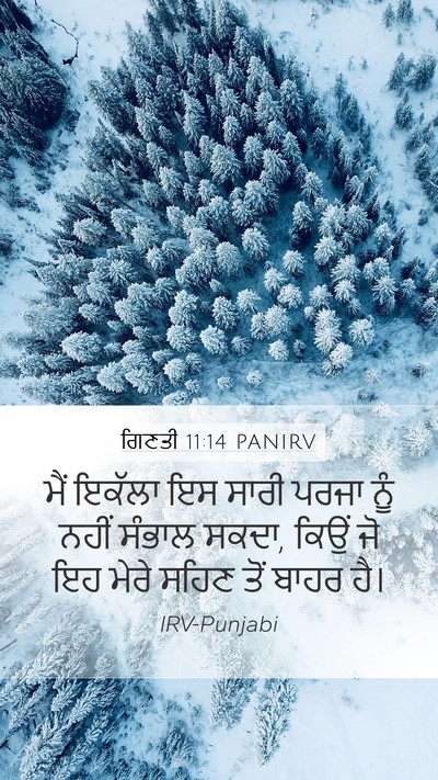 ਗਿਣਤੀ 11:14 PANIRV Mobile Phone Wallpaper - ਮੈਂ ਇਕੱਲਾ ਇਸ ਸਾਰੀ - Mobile Bible Verse Wallpaper